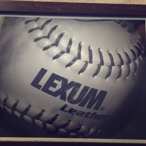 Framed Lexum leather picture